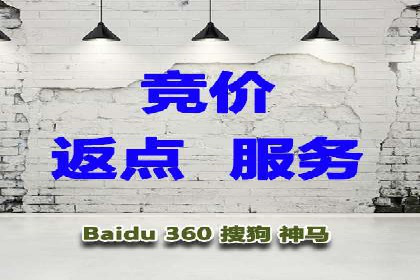 SEM推广代运营公司：行业领先的成功秘诀